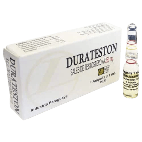 Duratestoland 1mL (4 sais de testosterona 250mg) - Landerlan